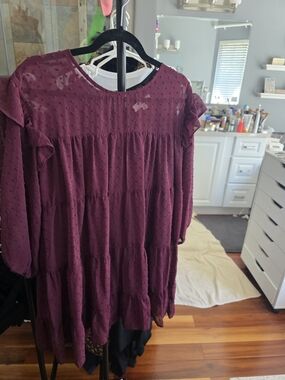 Entro Plum Swiss Dot Sheer Yoke Dress